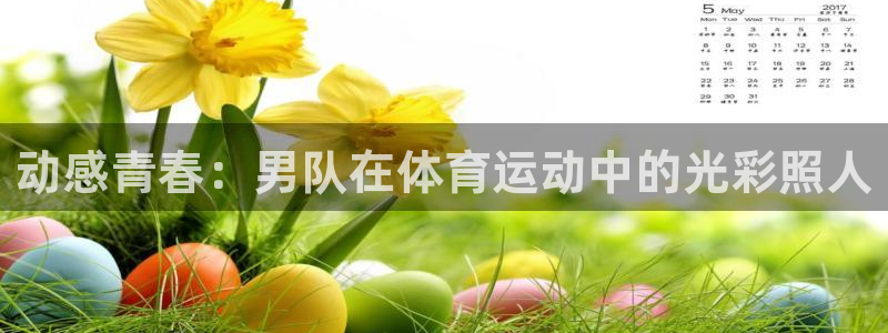 动感青春：男队在体育运动中的光彩照人