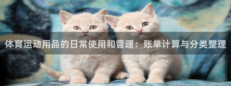 体育运动用品的日常使用和管理：账单计算与分类整理