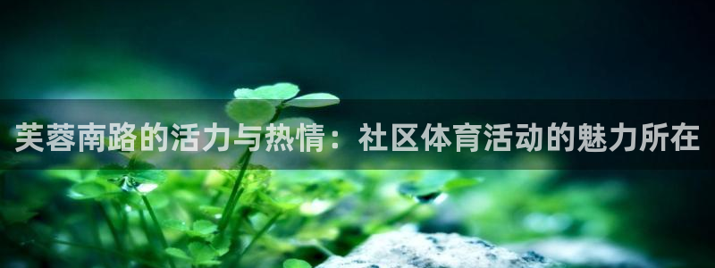 芙蓉南路的活力与热情：社区体育活动的魅力所在