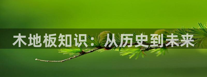木地板知识：从历史到未来
