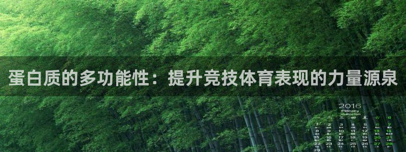 蛋白质的多功能性：提升竞技体育表现的力量源泉