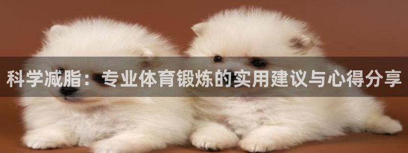 科学减脂：专业体育锻炼的实用建议与心得分享