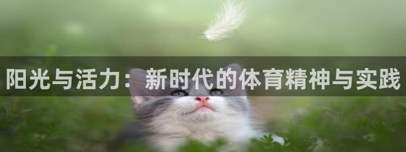 阳光与活力：新时代的体育精神与实践