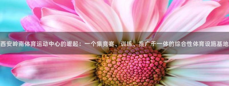 西安岭南体育运动中心的崛起：一个集竞赛、训练、推广于一体的综合性体育设施基地