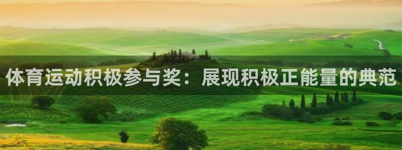 体育运动积极参与奖：展现积极正能量的典范